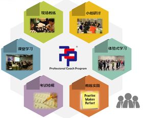 想成為企業(yè)青睞的教練？這門(mén)網(wǎng)絡(luò)技術(shù)認(rèn)證課不容錯(cuò)過(guò)